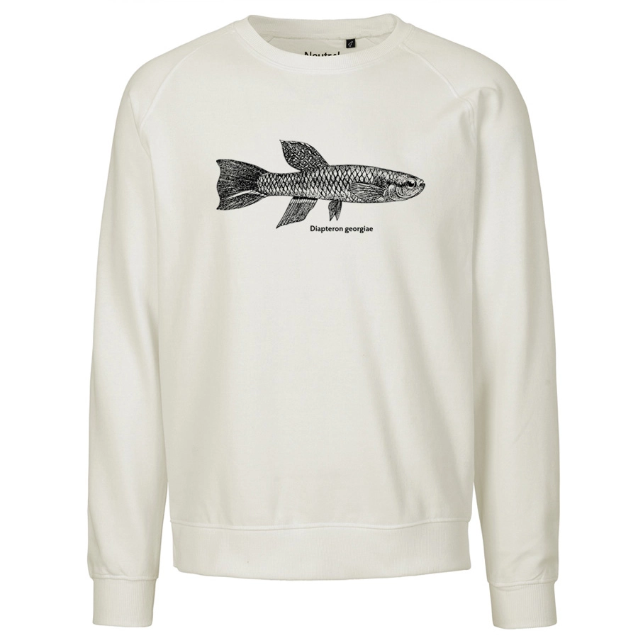 Georgiae Killifish Sweater