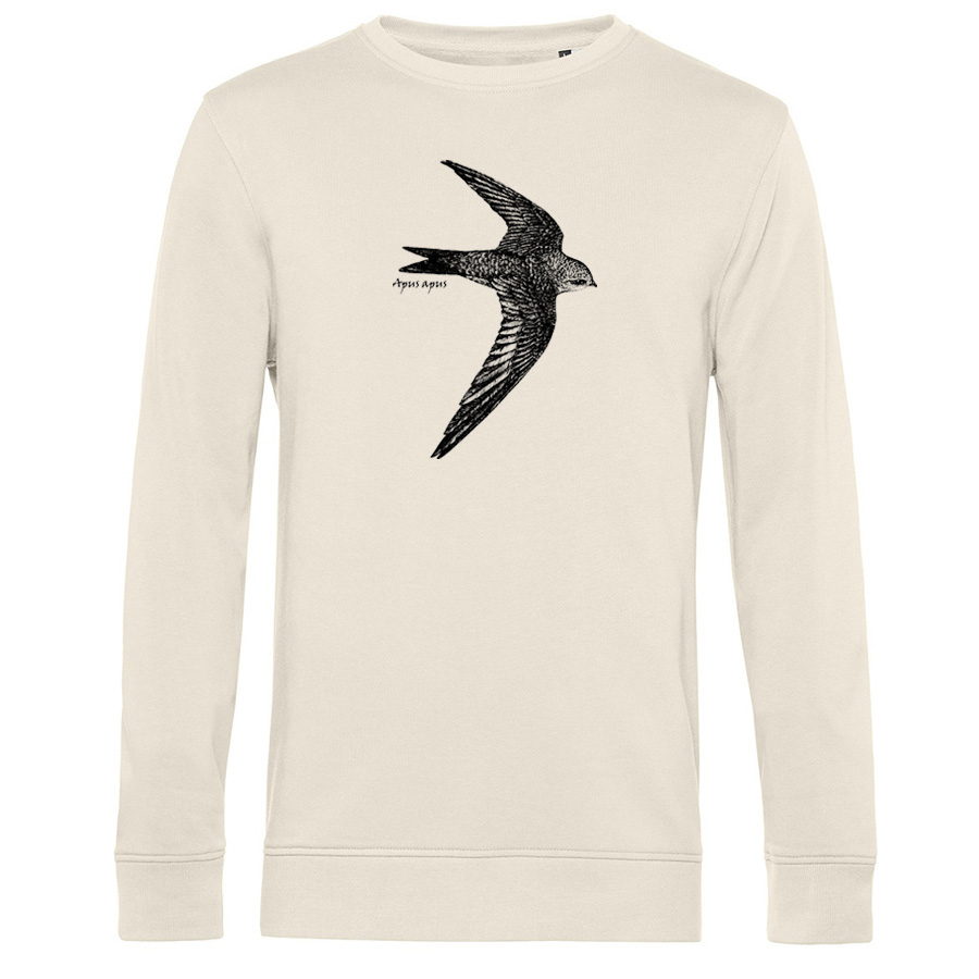 Common Swift 2 Sweater