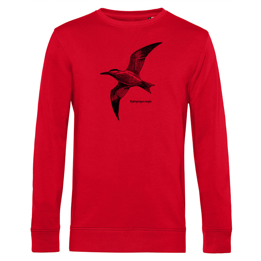 Caspian Tern Sweater