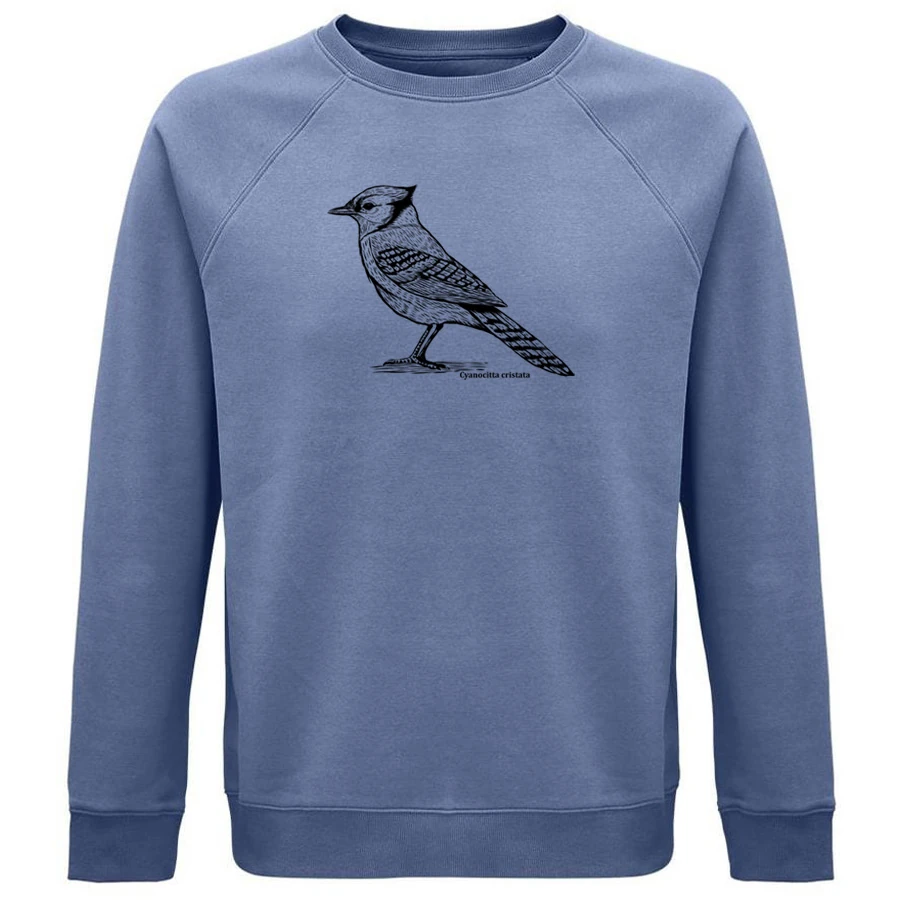 Blue Jay, BirdShirt Sweater, typeshirts.com