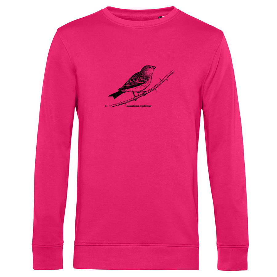 Common Rosefinch Sweater
