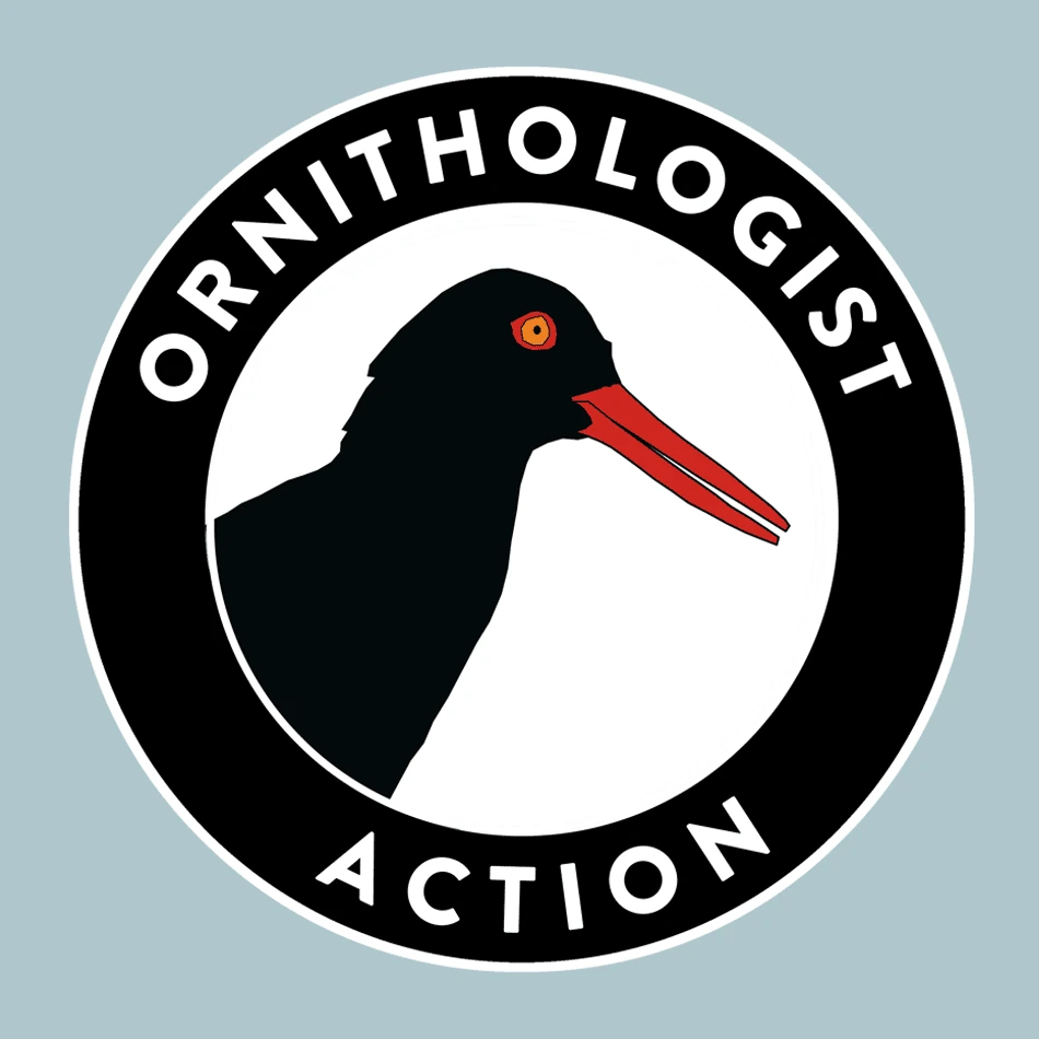 ornithologist action, oystercatcher logo