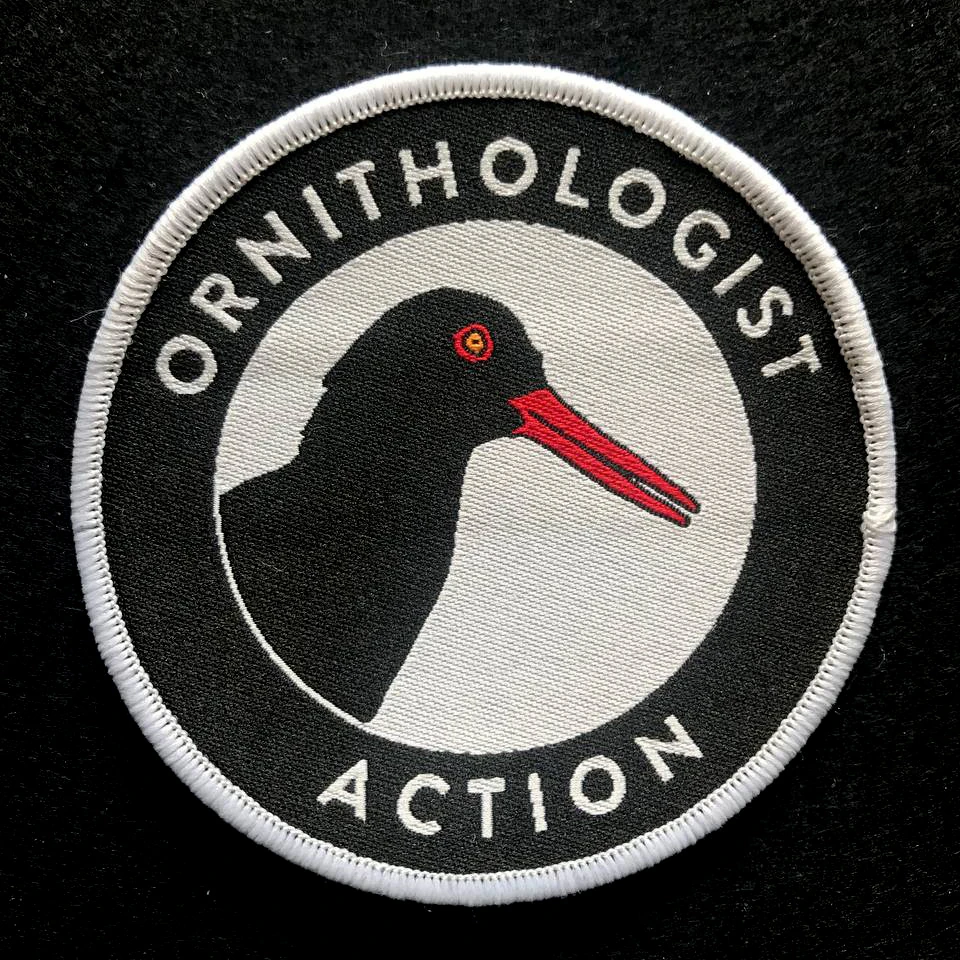 ornithologist action, oystercatcher logo